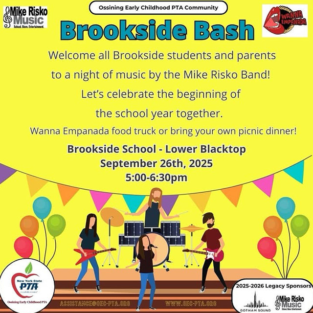 Mike Risko Band Acoustic at Ossining Brookside School Bash.